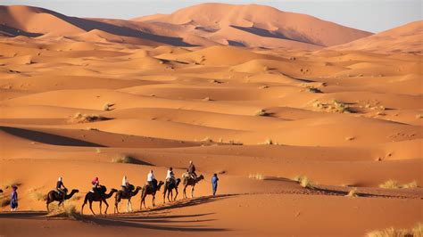 merzouga desert tours